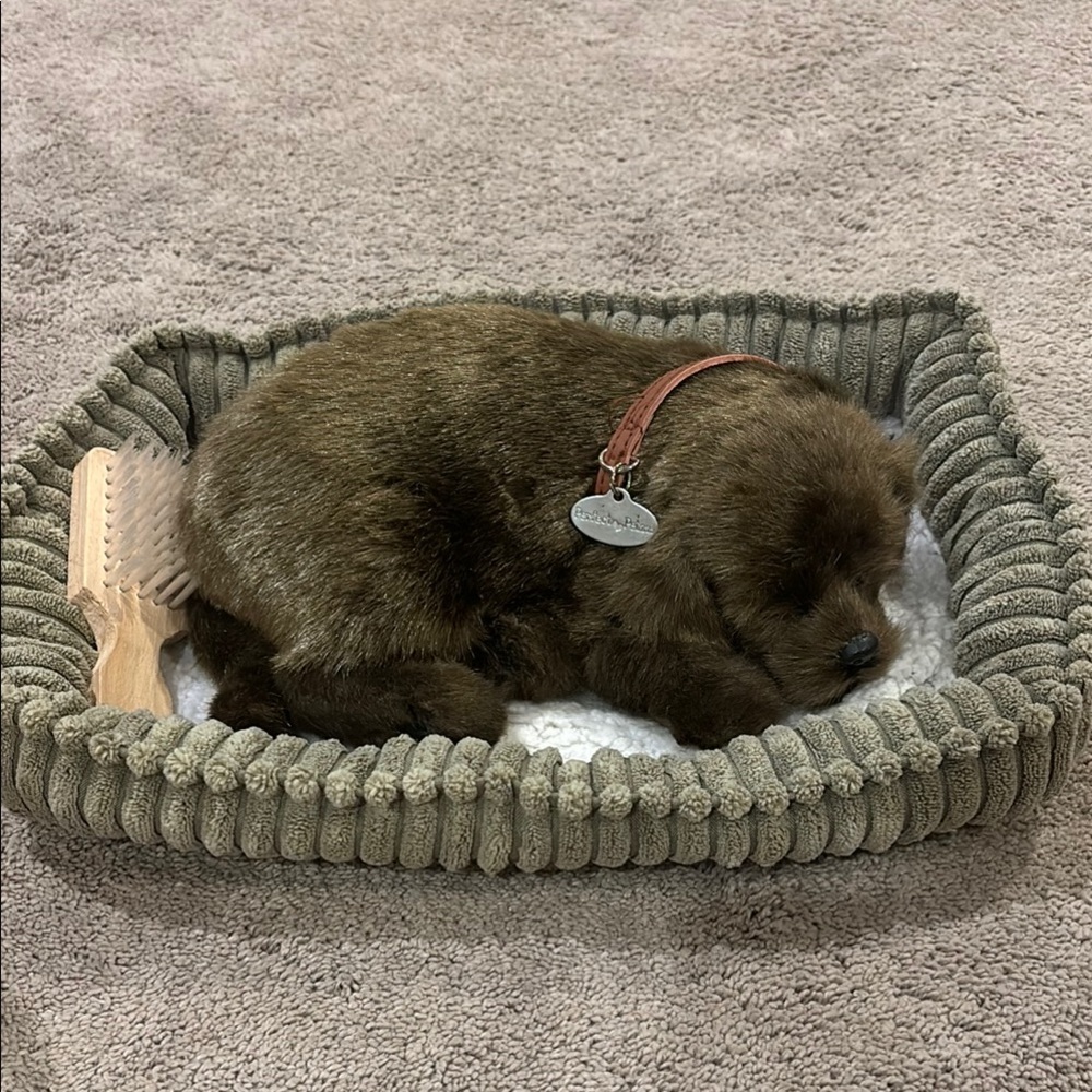 Kids Chocolate lab sleeping puppy Toy, bed, brush.